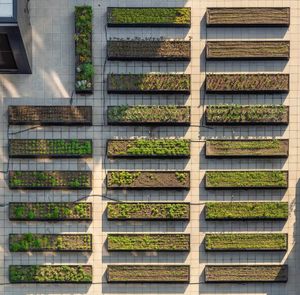 Rooftop garden